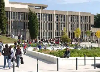 Comment s’orienter pour le choix des filières après Bac